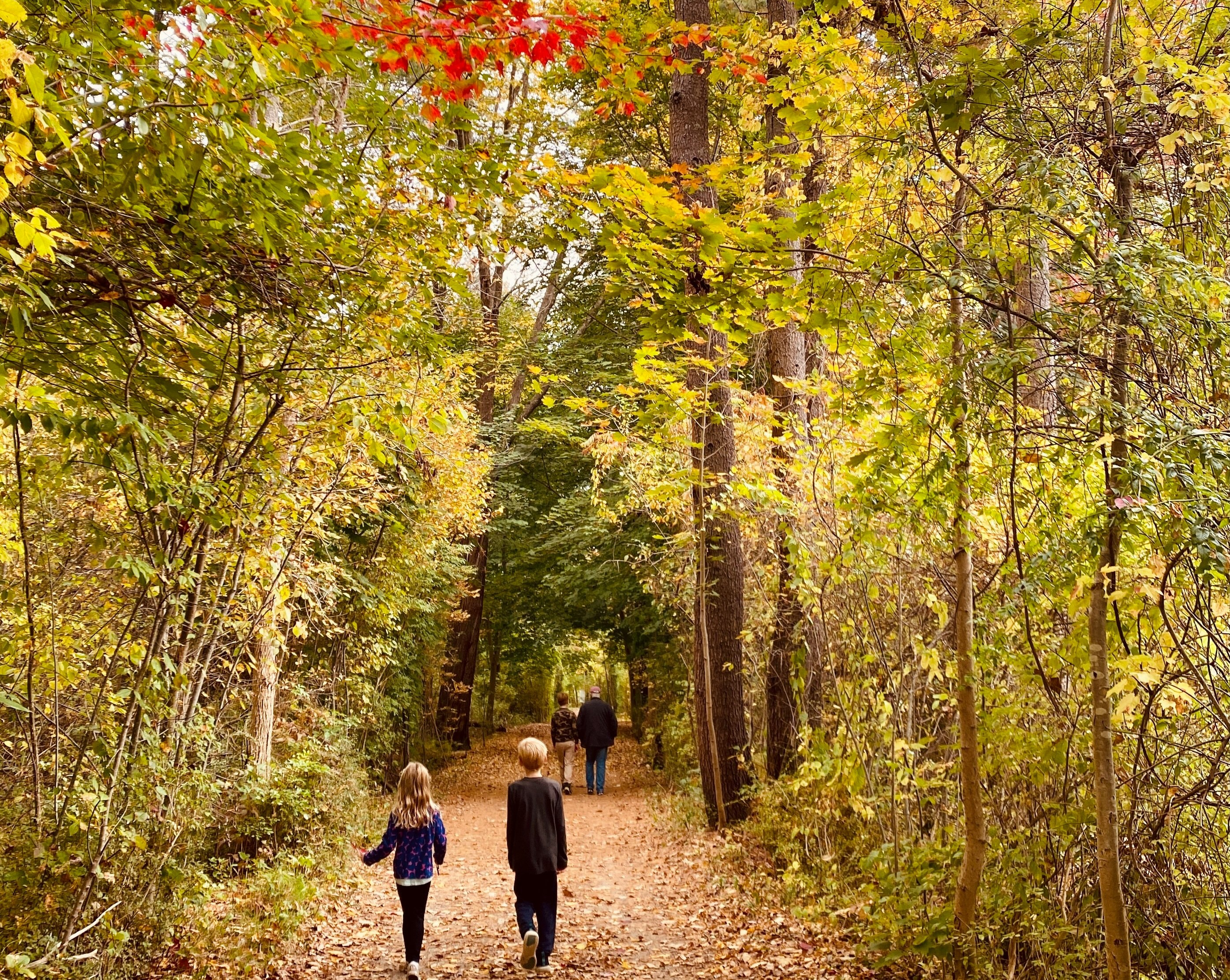 People walking on trail in fall