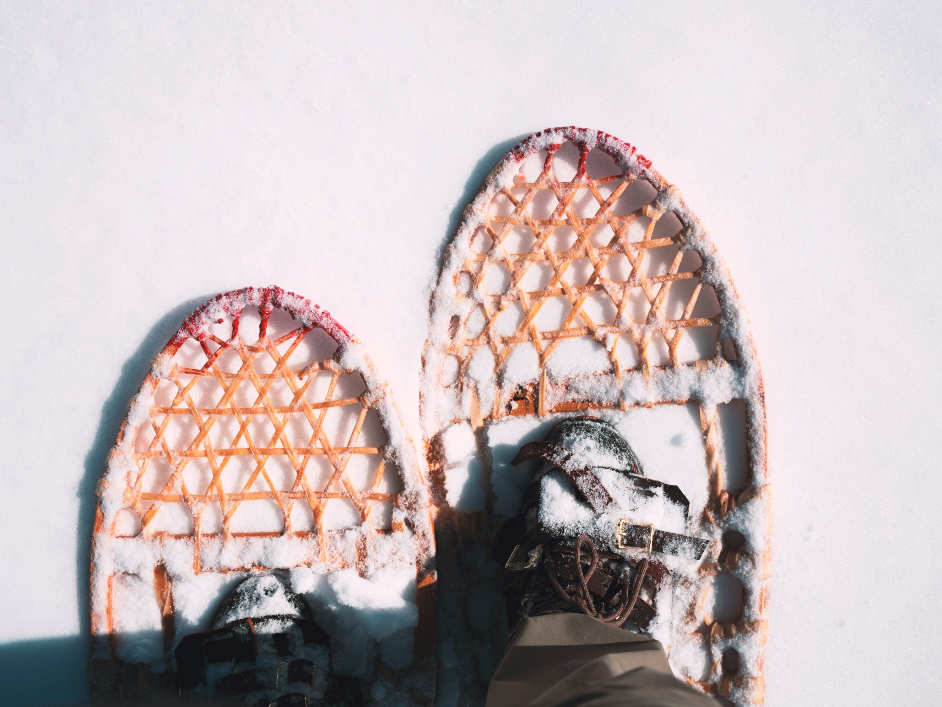 Red and yellow snowshoes on snow