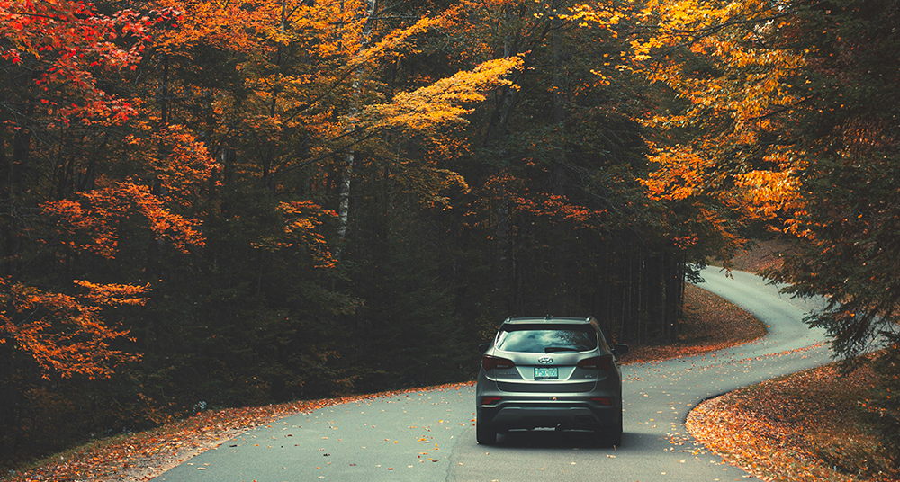 Landing Page Square Fall Car 1000x536 Car Driving on Road Foliage